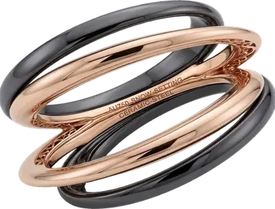 Gold and ceramic-steel bands with snow setting
